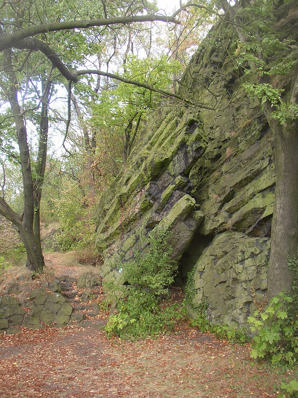 Basalt rock columns